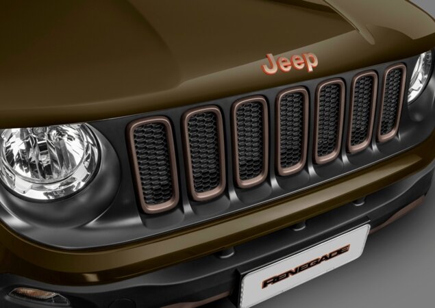 Detalhe da grade em bronze