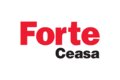 Honda Forte Ceasa