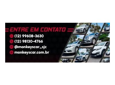 Monkeys Car