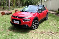 Citroën C4 Cactus pode morrer e não deixará substituto